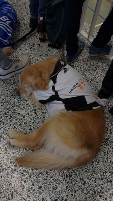 9. Runde – Herren I – Aarberg